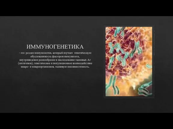 ИММУНОГЕНЕТИКА - это раздел иммунологии, который изучает генетическую обусловленность факторов иммунитета, внутривидовое