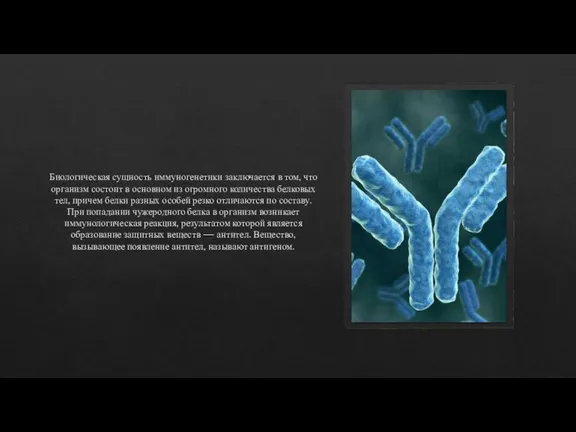 Биологическая сущность иммуногенетики заключается в том, что организм состоит в основном из