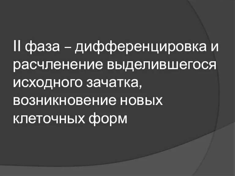 II фаза – дифференцировка и расчленение выделившегося исходного зачатка, возникновение новых клеточных форм