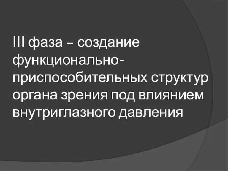 III фаза – создание функционально-приспособительных структур органа зрения под влиянием внутриглазного давления