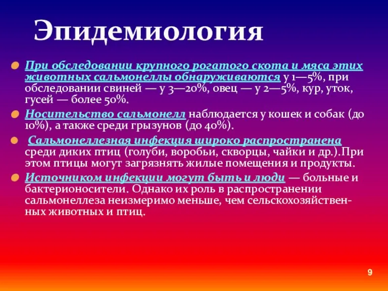 При обследовании крупного рогатого скота и мяса этих животных сальмонеллы обнаруживаются у