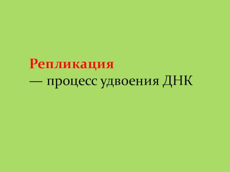 Репликация — процесс удвоения ДНК