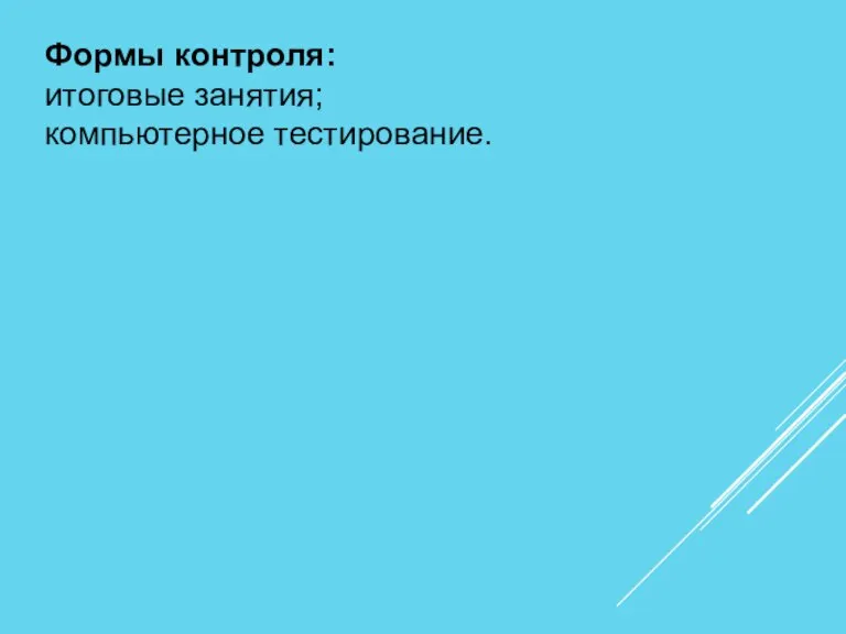 Формы контроля: итоговые занятия; компьютерное тестирование.