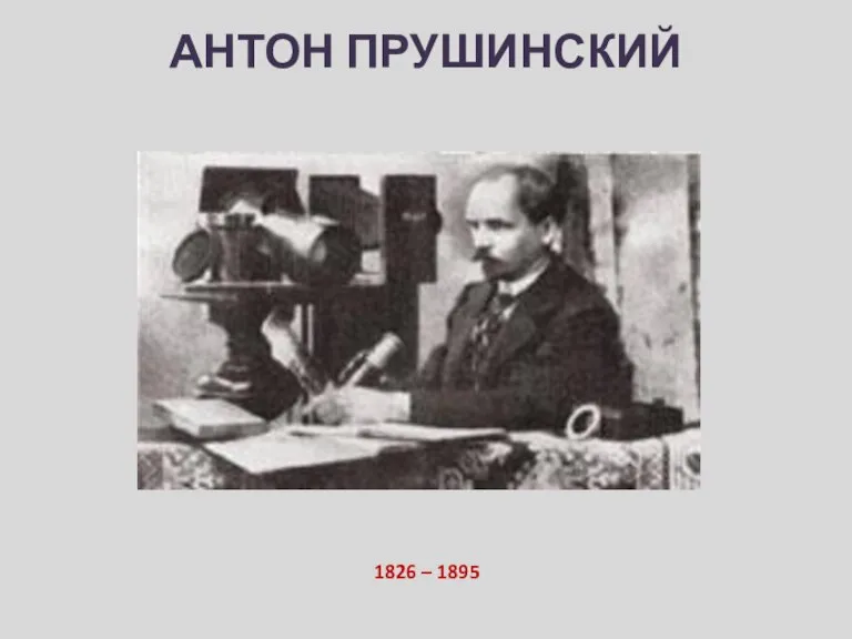 АНТОН ПРУШИНСКИЙ 1826 – 1895