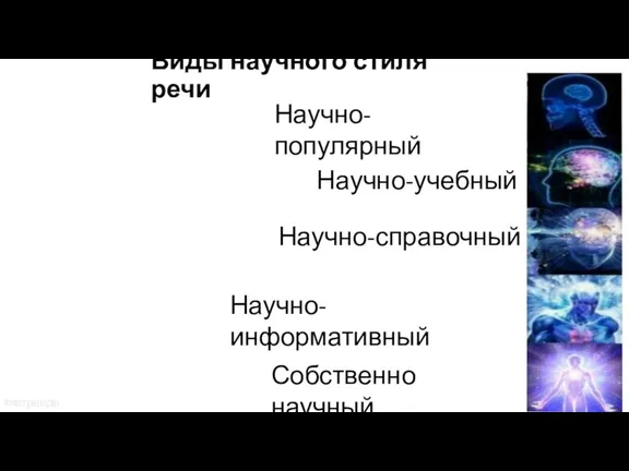 Виды научного стиля речи Научно-популярный Научно-учебный Научно-информативный Собственно научный Научно-справочный #явтренде