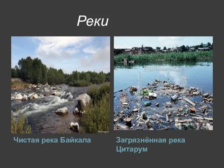 Реки Чистая река Байкала Загрязнённая река Цитарум