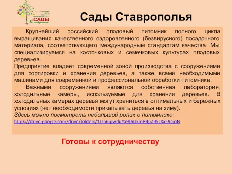 Крупнейший российский плодовый питомник полного цикла выращивания качественного оздоровленного (безвирусного) посадочного материала,