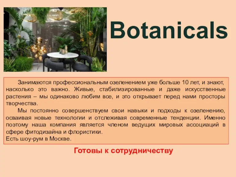 Botanicals Занимаются профессиональным озеленением уже больше 10 лет, и знают, насколько это