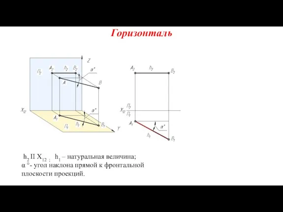 Горизонталь h2 II X12 ; h1 – натуральная величина; α °- угол