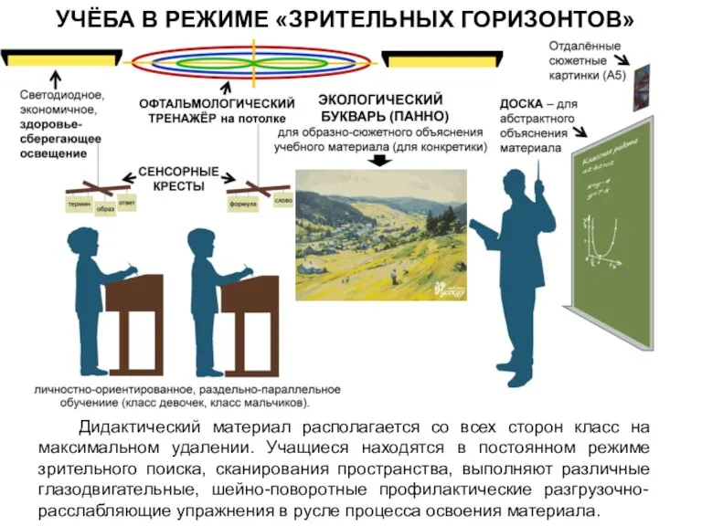 УЧЁБА В РЕЖИМЕ «ЗРИТЕЛЬНЫХ ГОРИЗОНТОВ» Дидактический материал располагается со всех сторон класс