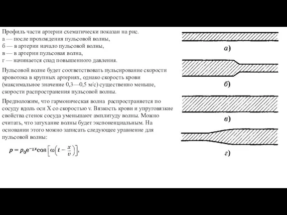 Профиль части артерии схематически показан на рис. а — после прохождения пульсовой