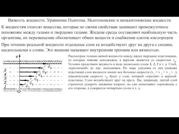 К жидкостям относят вещества, которые по своим свойствам занимают промежуточное положение между