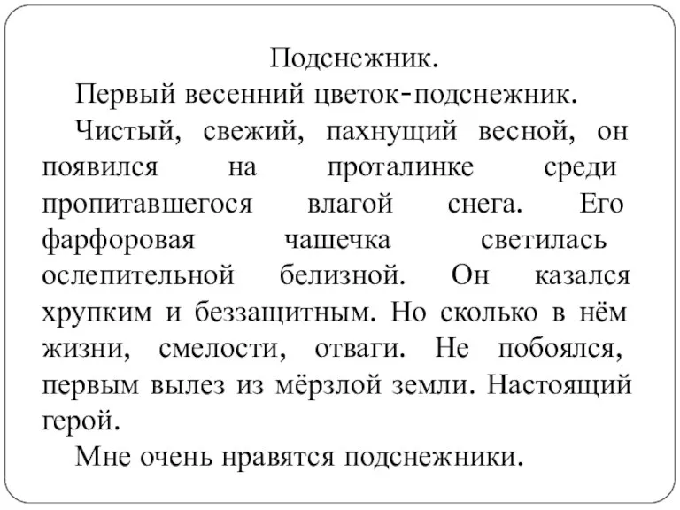 Подснежник. Первый весенний цветок-подснежник. Чистый, свежий, пахнущий весной, он появился на проталинке