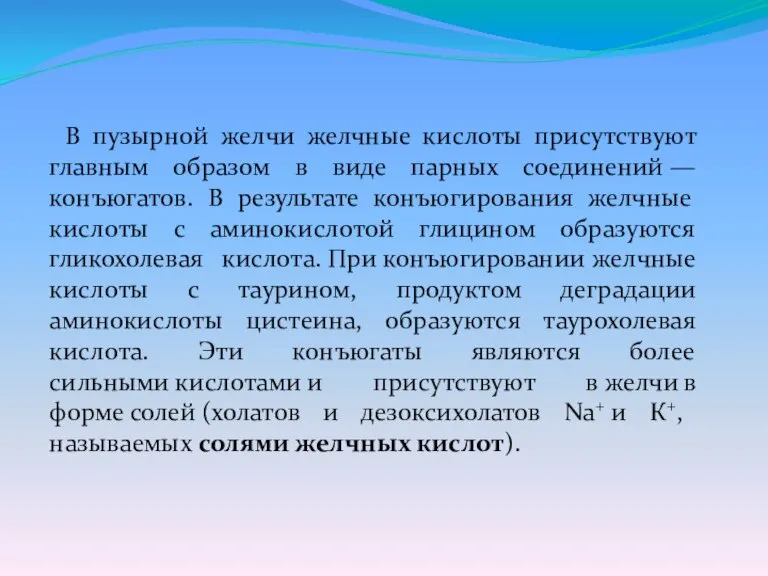 В пузырной желчи желчные кислоты присутствуют главным образом в виде парных соединений