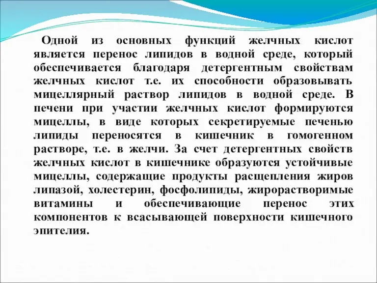 Одной из основных функций желчных кислот является перенос липидов в водной среде,