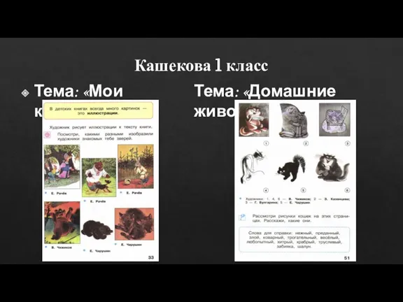 Кашекова 1 класс Тема: «Мои книжки» Тема: «Домашние животные»