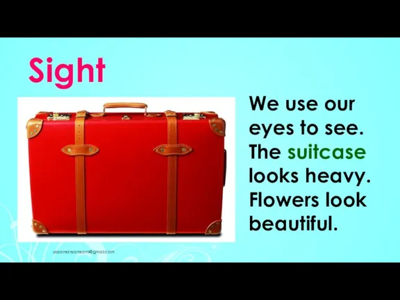 Sight yasamansamsami@gmail.com We use our eyes to see. The suitcase looks heavy. Flowers look beautiful.
