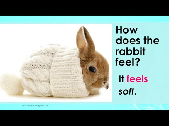 How does the rabbit feel? It feels soft. yasamansamsami@gmail.com