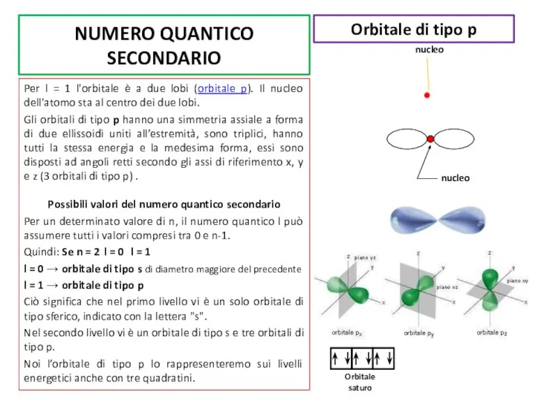 NUMERO QUANTICO SECONDARIO Per l = 1 l'orbitale è a due lobi