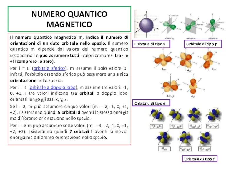 NUMERO QUANTICO MAGNETICO Il numero quantico magnetico m, indica il numero di