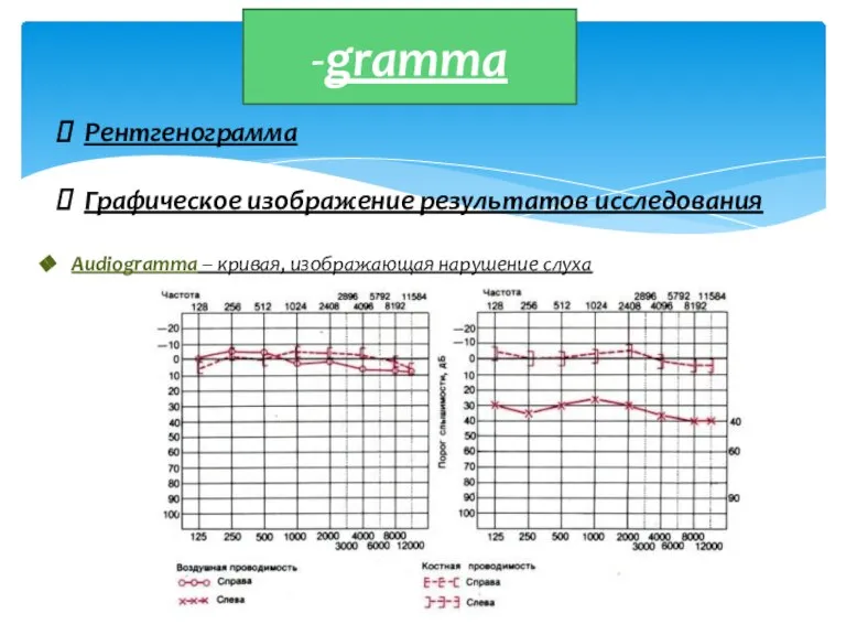 -gramma Рентгенограмма Графическое изображение результатов исследования Audiogramma – кривая, изображающая нарушение слуха