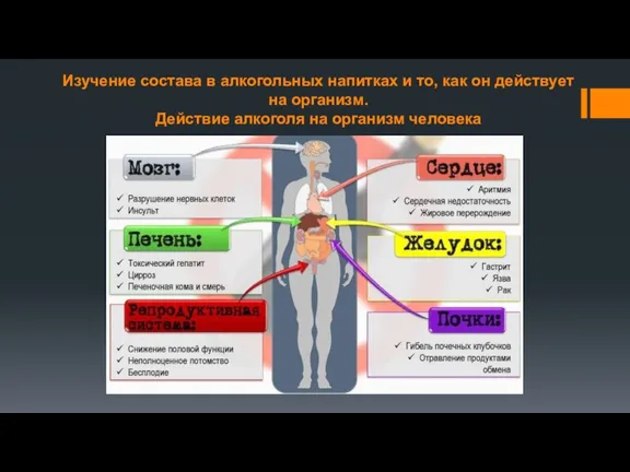 Изучение состава в алкогольных напитках и то, как он действует на организм.