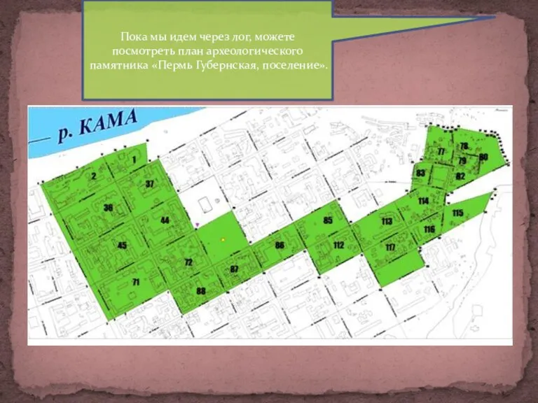 Пока мы идем через лог, можете посмотреть план археологического памятника «Пермь Губернская, поселение».