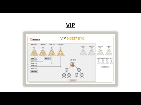 VIP