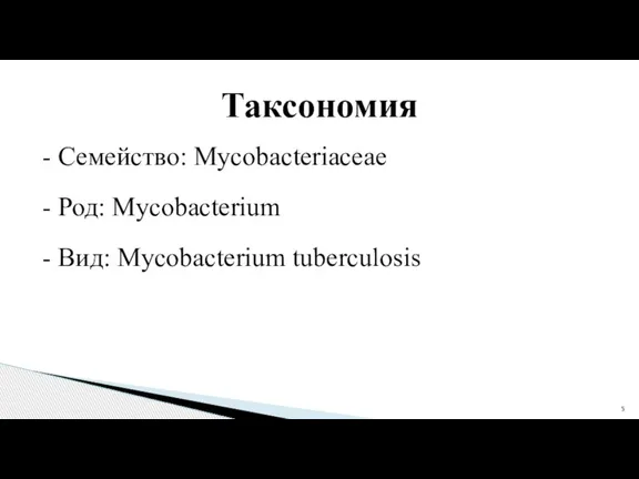 Таксономия - Семейство: Mycobacteriaceae - Род: Mycobacterium - Вид: Mycobacterium tuberculosis