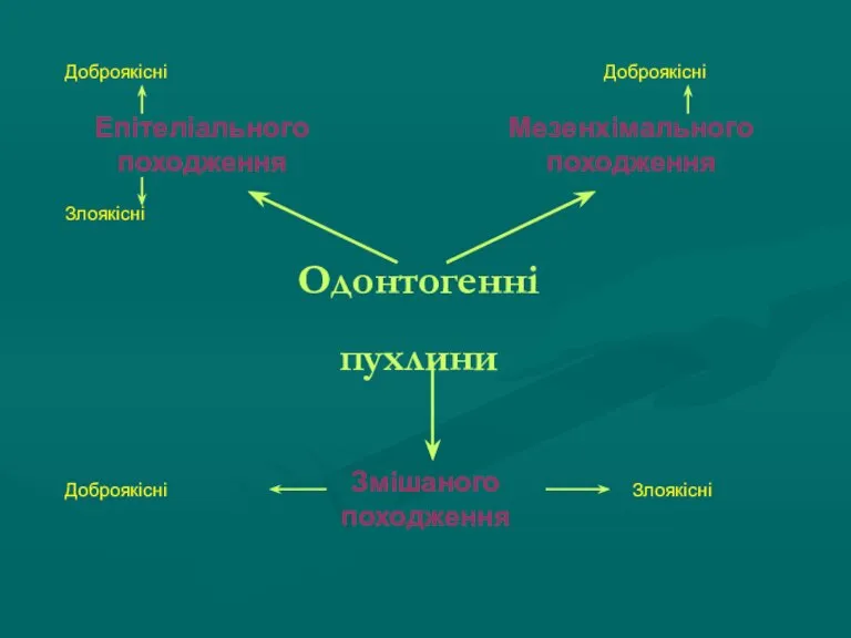 Одонтогенні пухлини Епітеліального походження Мезенхімального походження Змішаного походження Доброякісні Доброякісні Доброякісні Злоякісні Злоякісні