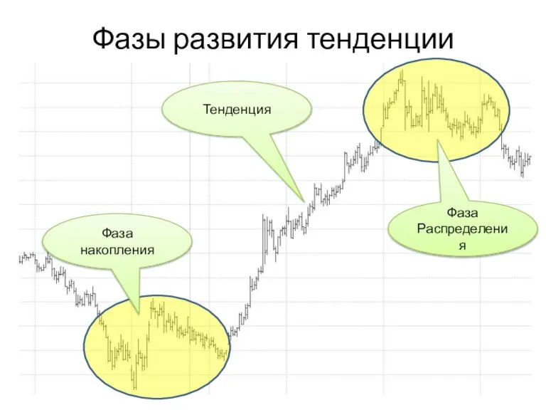 Фазы развития тенденции Фаза накопления Фаза Распределения Тенденция