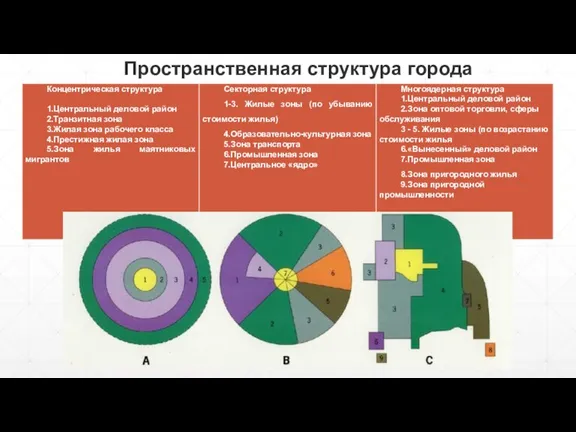 Пространственная структура города