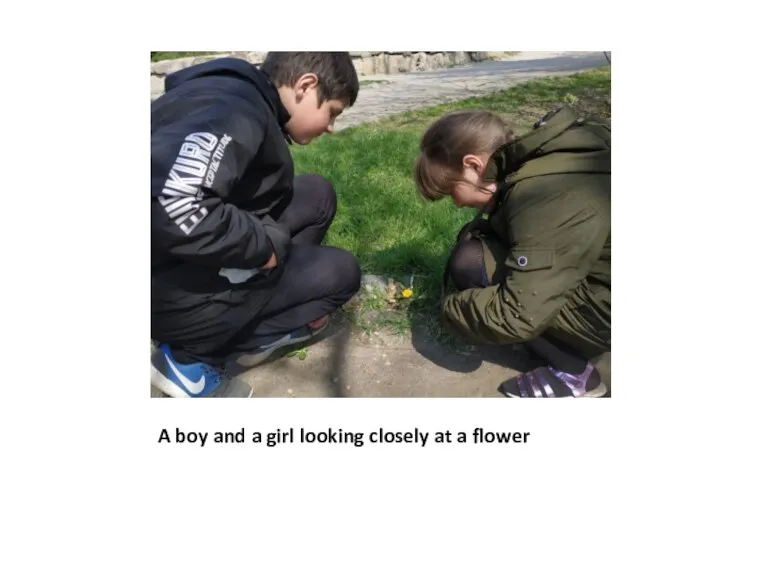 A boy and a girl looking closely at a flower