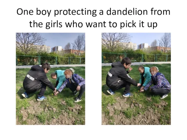 One boy protecting a dandelion from the girls who want to pick it up