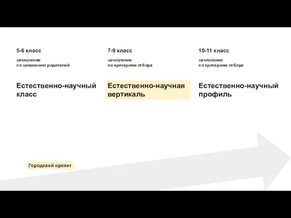 Естественно-научный класс Естественно-научная вертикаль Естественно-научный профиль Городской проект 5-6 класс 7-9 класс