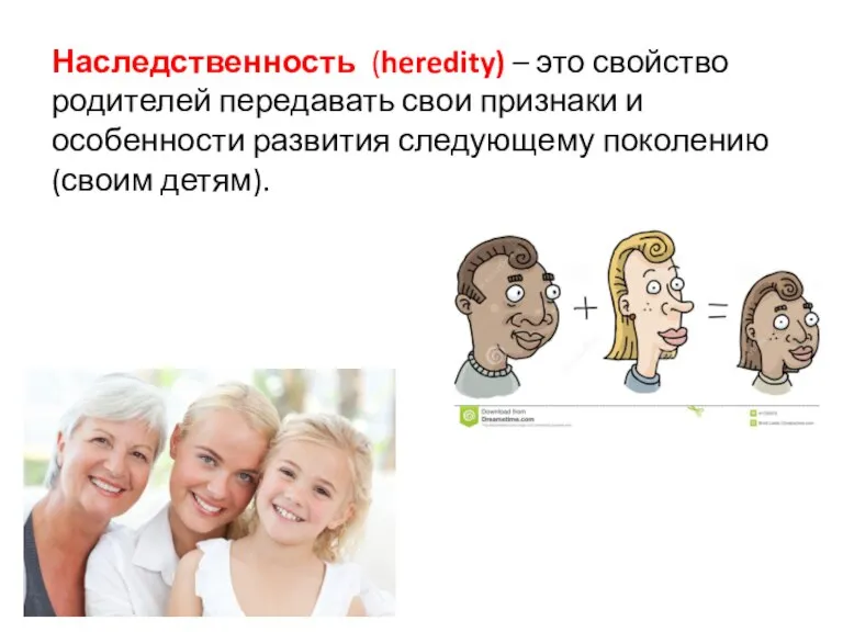 Наследственность (heredity) – это свойство родителей передавать свои признаки и особенности развития следующему поколению (своим детям).