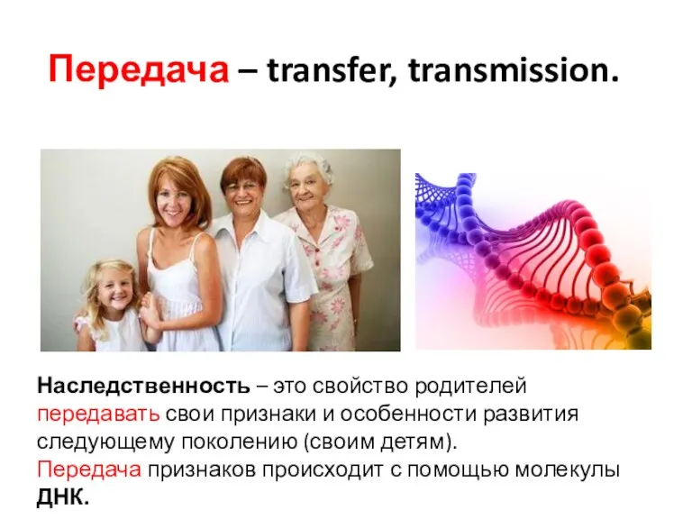 Передача – transfer, transmission. Наследственность – это свойство родителей передавать свои признаки