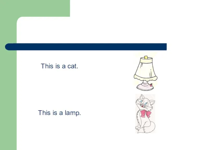 This is a cat. This is a lamp.