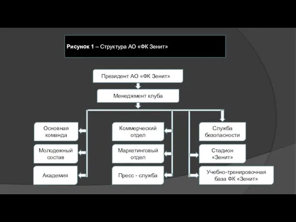 Рисунок 1 – Структура АО «ФК Зенит» Президент АО «ФК Зенит»О Менеджмент