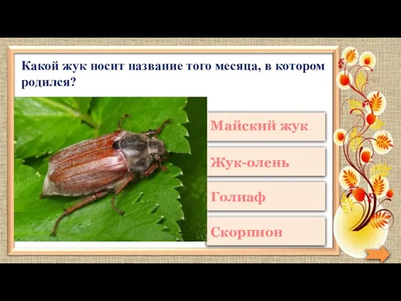 Какой жук носит название того месяца, в котором родился?