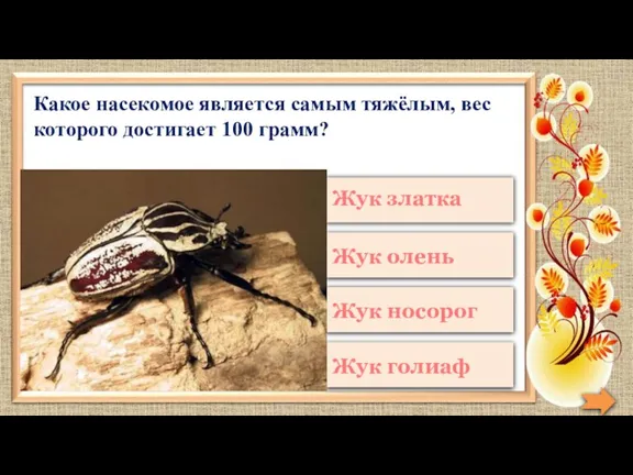 Какое насекомое является самым тяжёлым, вес которого достигает 100 грамм?