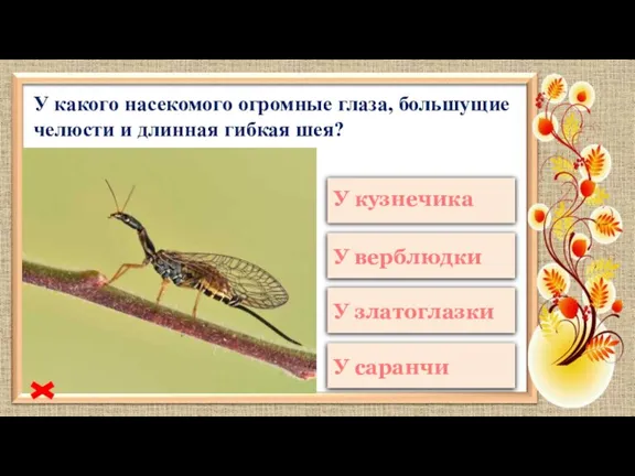 У какого насекомого огромные глаза, большущие челюсти и длинная гибкая шея?