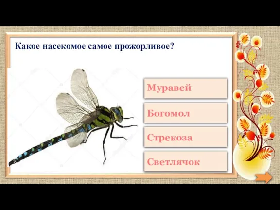 Какое насекомое самое прожорливое?