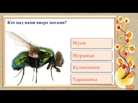 Кто над нами вверх ногами?