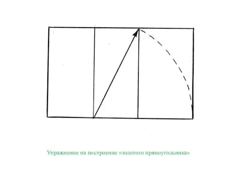Упражнение на построение «золотого прямоугольника»
