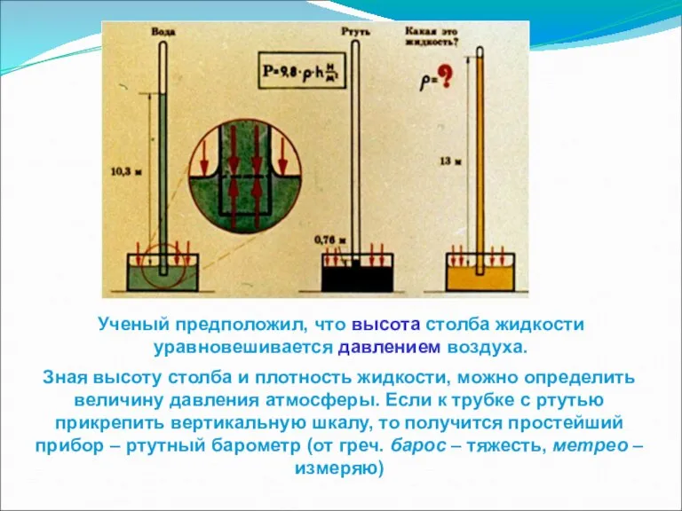 Ученый предположил, что высота столба жидкости уравновешивается давлением воздуха. Зная высоту столба