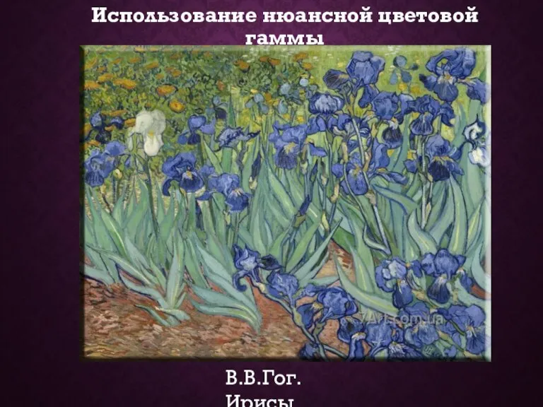 Использование нюансной цветовой гаммы В.В.Гог. Ирисы