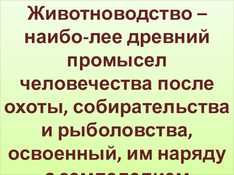 Животноводство – наибо-лее древний промысел человечества после охоты, собирательства и рыболовства, освоенный, им наряду с земледелием