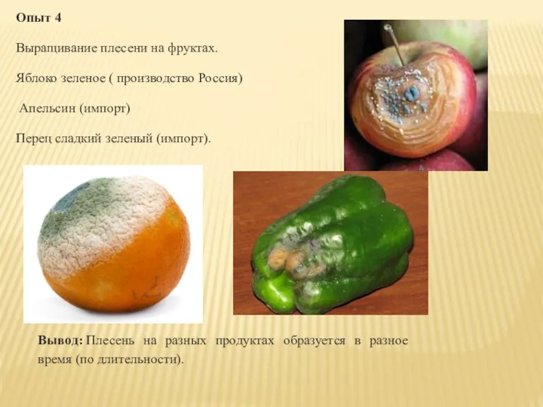 Опыт 4 Выращивание плесени на фруктах. Яблоко зеленое ( производство Россия) Апельсин