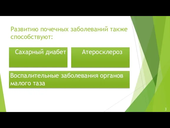 Развитию почечных заболеваний также способствуют: Сахарный диабет Атеросклероз Воспалительные заболевания органов малого таза